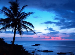 Accepting Paradise - Hawaii